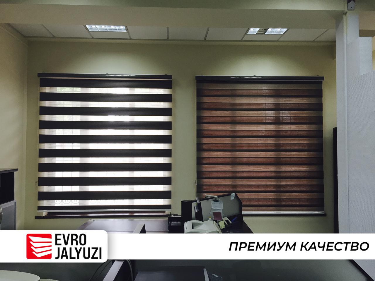 Кубинский дуб thumbnail image