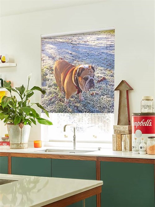 Animal print thumbnail image
